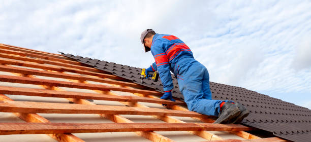 Best Roof Insulation Installation  in Celoron, NY