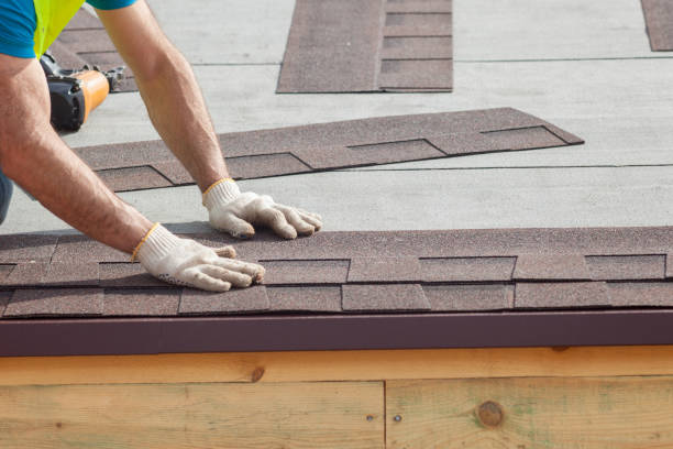 Best Asphalt Shingle Roofing  in Celoron, NY